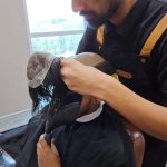 Non-Surgical Hair Replacement in Dubai: What to Expect in 2026